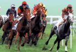 Horse racing